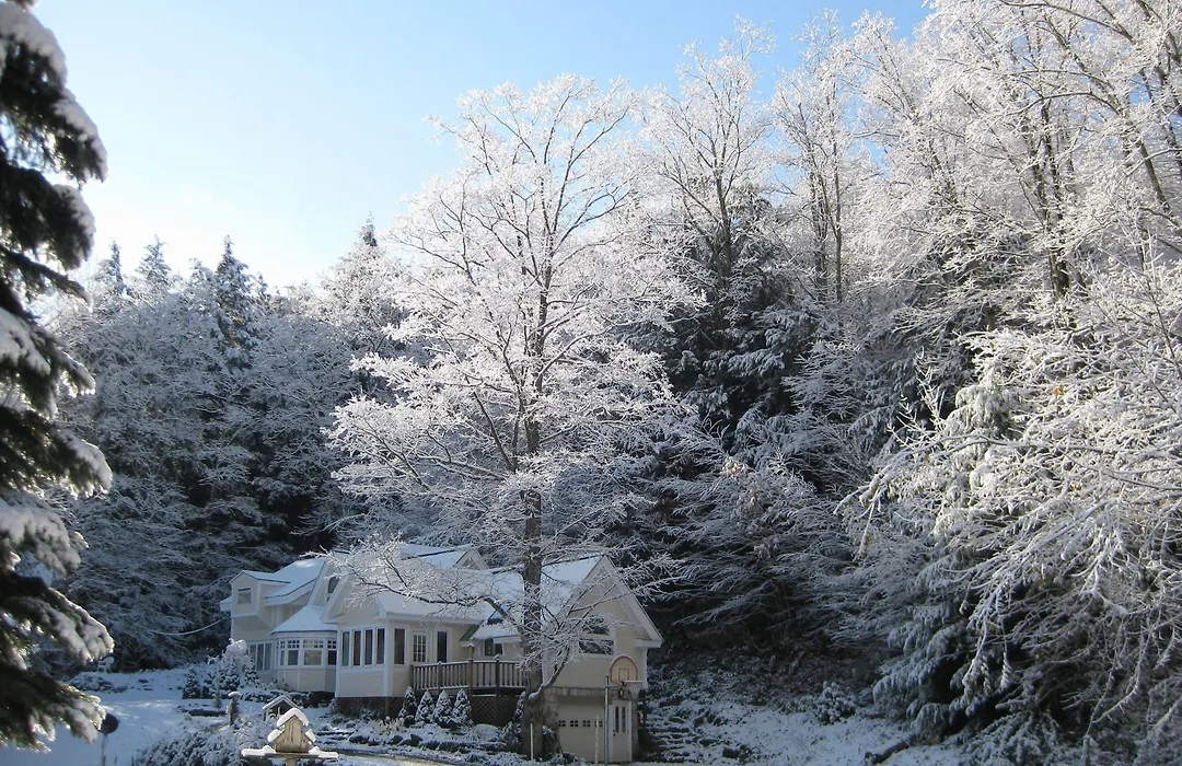 Mountain Valley Retreat-1